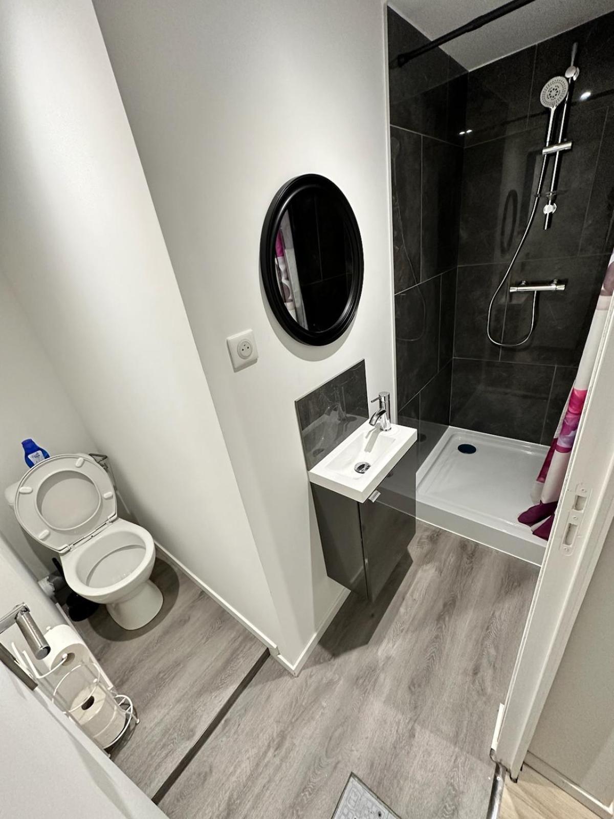 Cosy Citadin Daire Mulhouse Dış mekan fotoğraf